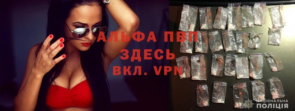 стафф Володарск