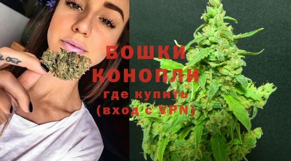 шишки Волосово