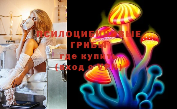 шишки Волосово